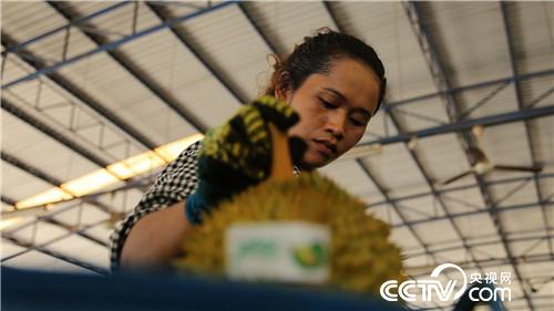 [�¸���(j��ng)]�ع��� �Ї��������Є� 20181130 