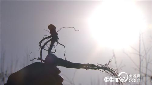 [�¸���(j��ng)]�����v���� �����v���� ٍ���v���X 20181203 